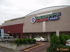 01nodausio1.jpg